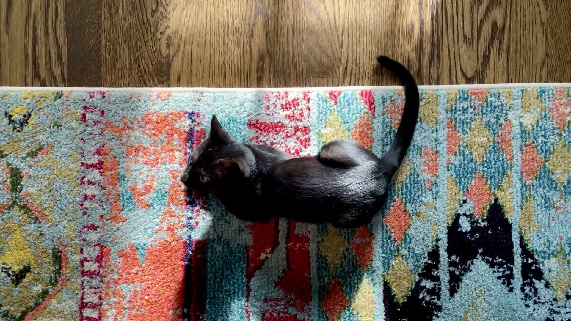 Related Video Item Thumbnail