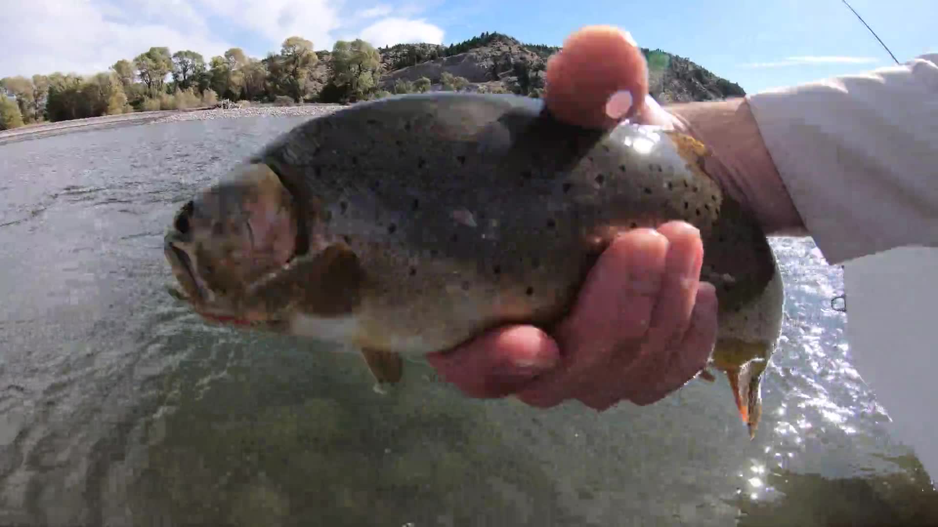 Related Video Item Thumbnail