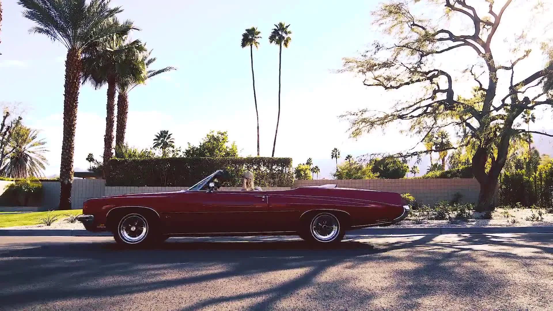 Related Video Item Thumbnail