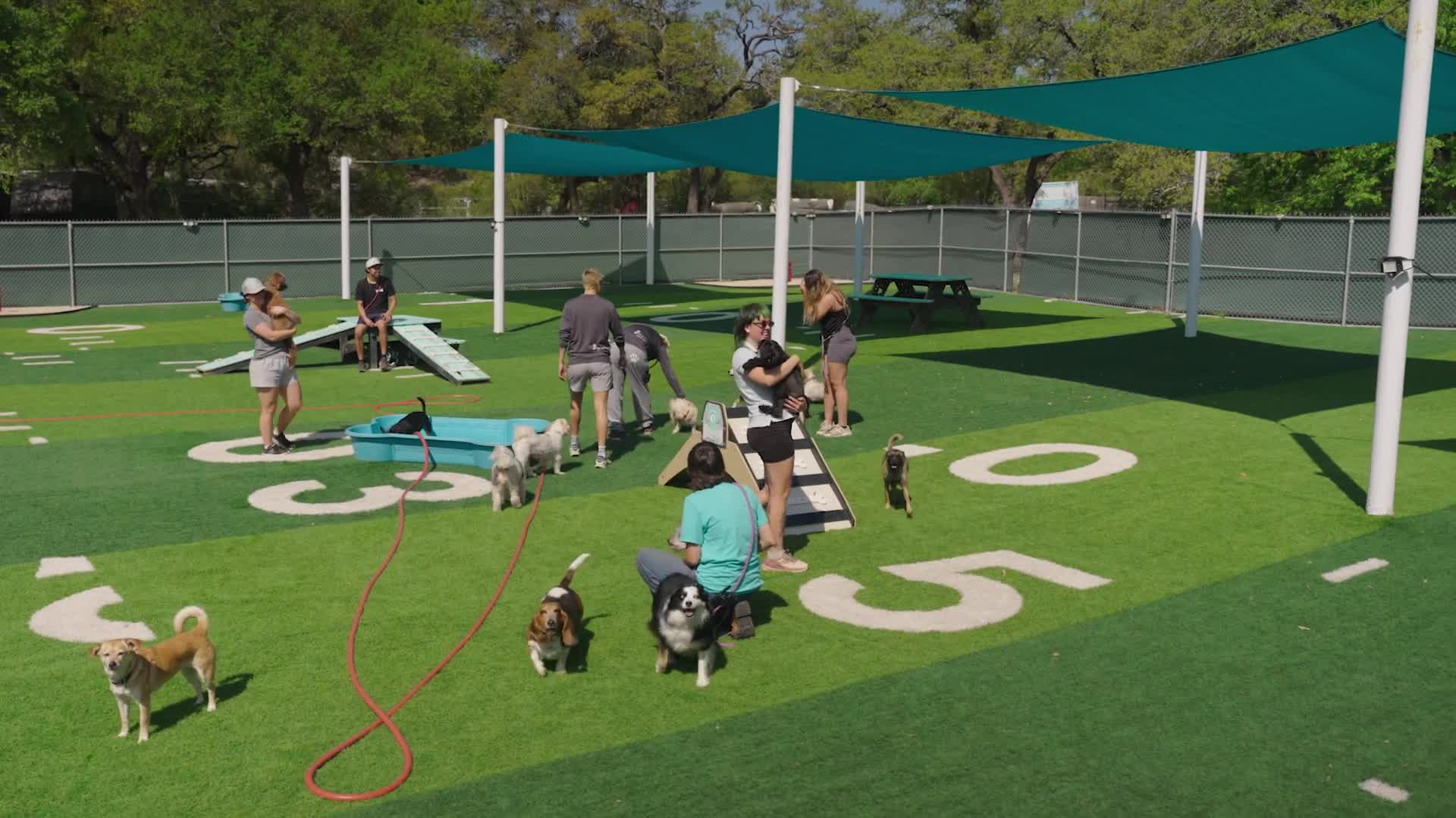 OAK HILL LOCATION — Pups & Pals Pet Lounge