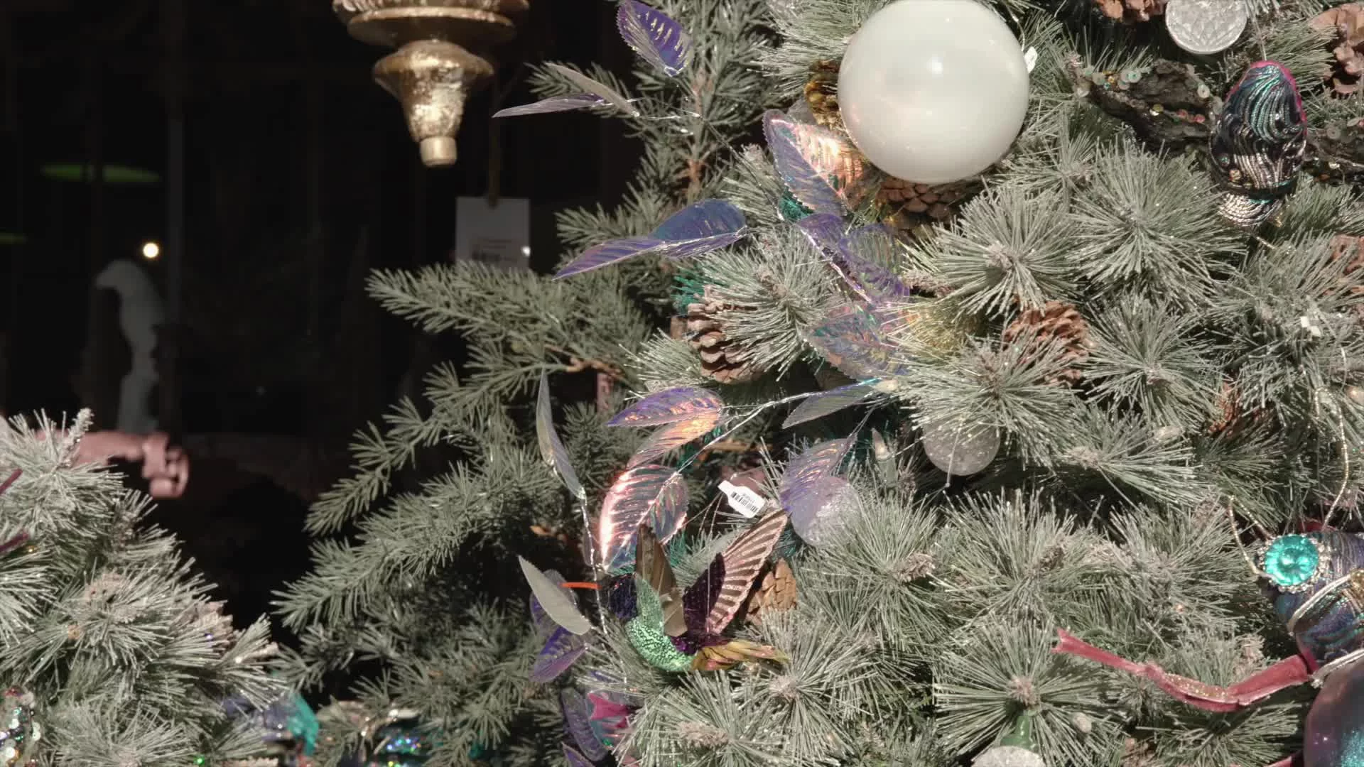 Related Video Item Thumbnail