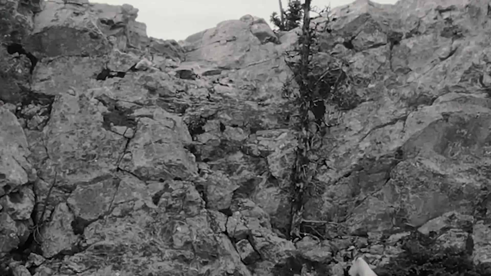 Related Video Item Thumbnail