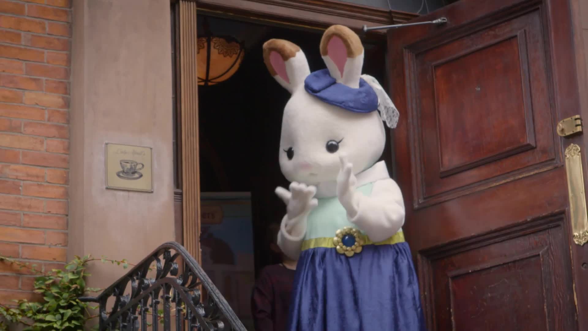 Related Video Item Thumbnail