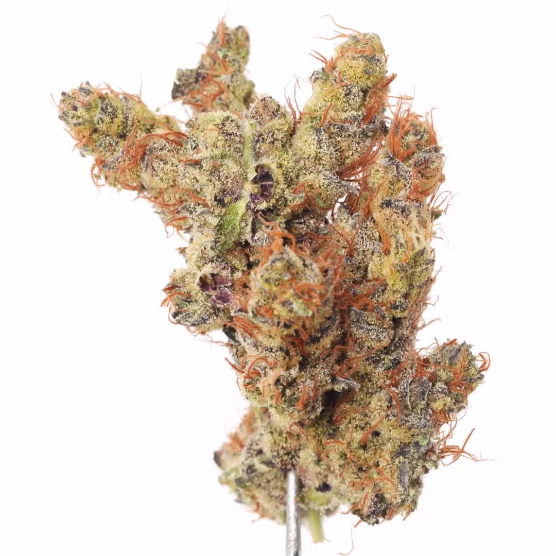 Bleu Cream is an indica-dominant hybrid strain known for its calming and relaxing effects. This strain typically has a sweet and creamy flavor profile with hints of blueberries. Users often report feeling euphoric