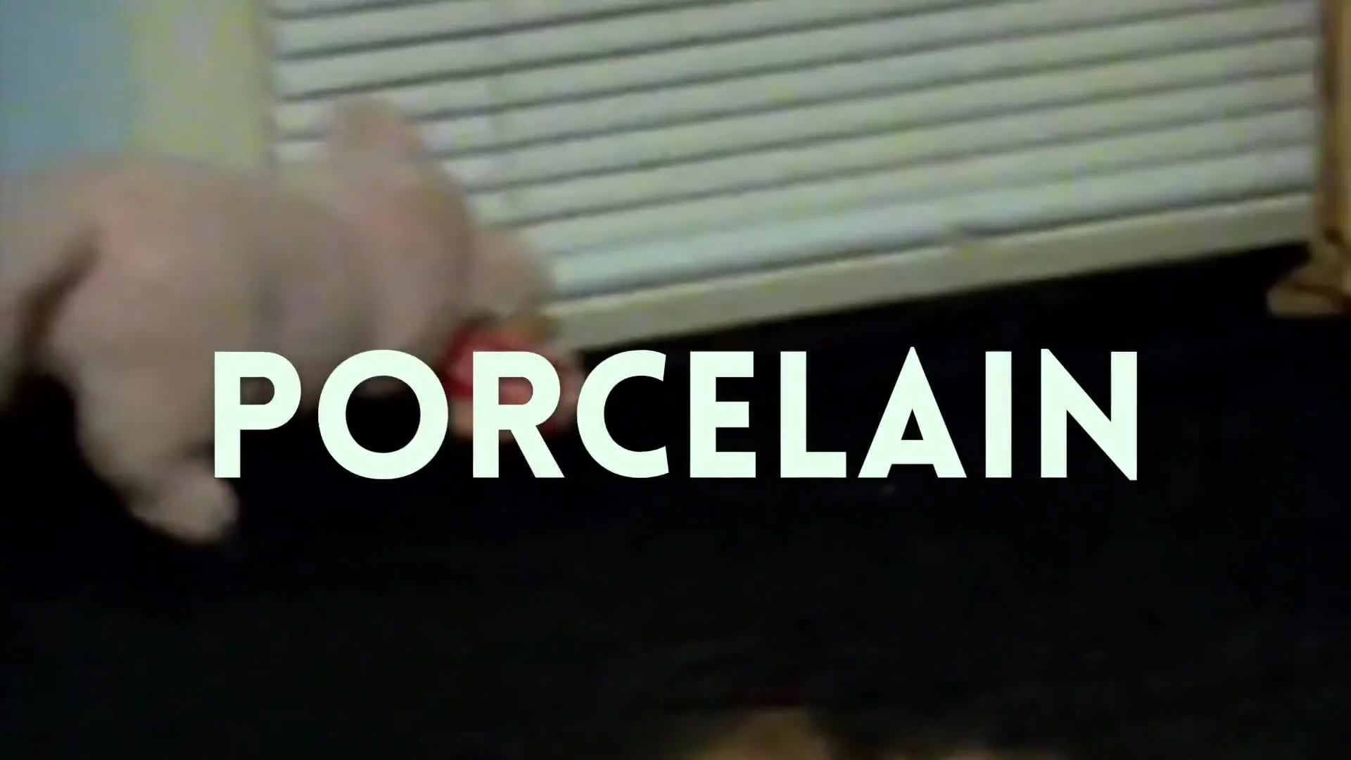 Related Video Item Thumbnail