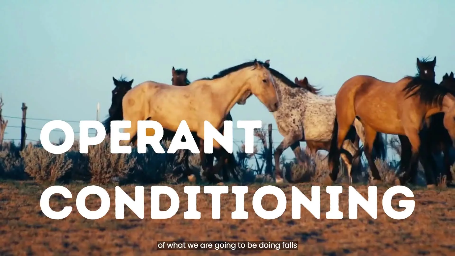 Introduction to Operant Conditioning