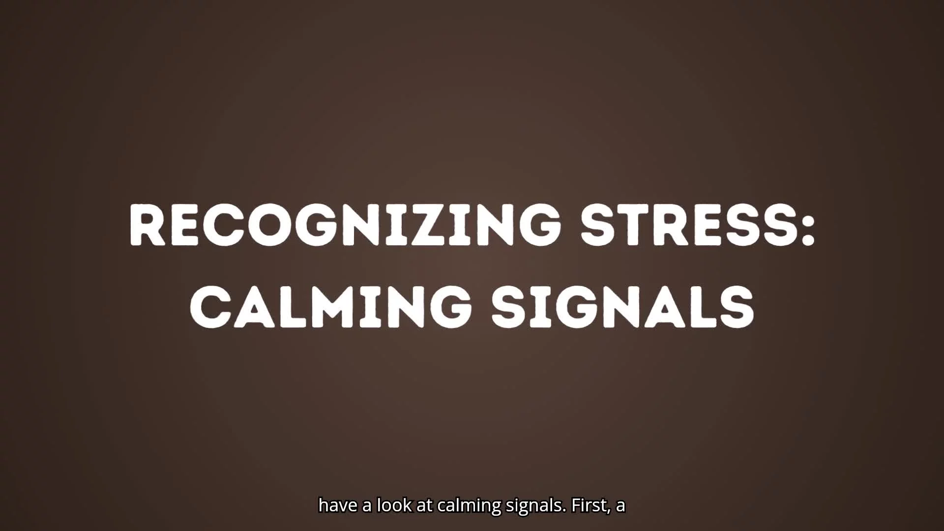 Recognizing Stress: Calming Signals