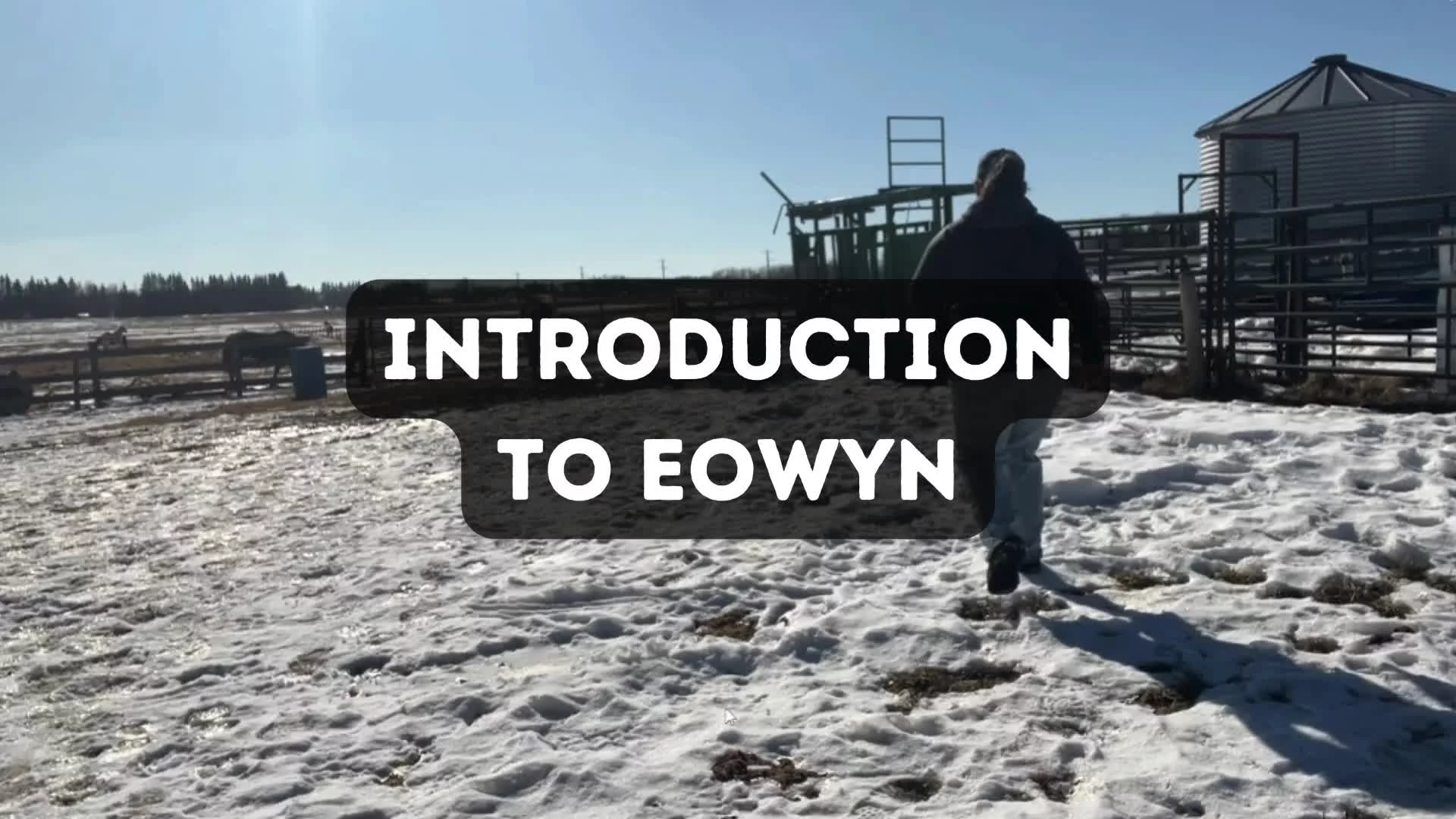Eowyn Part 1: First Sessions Building Drive and Draw