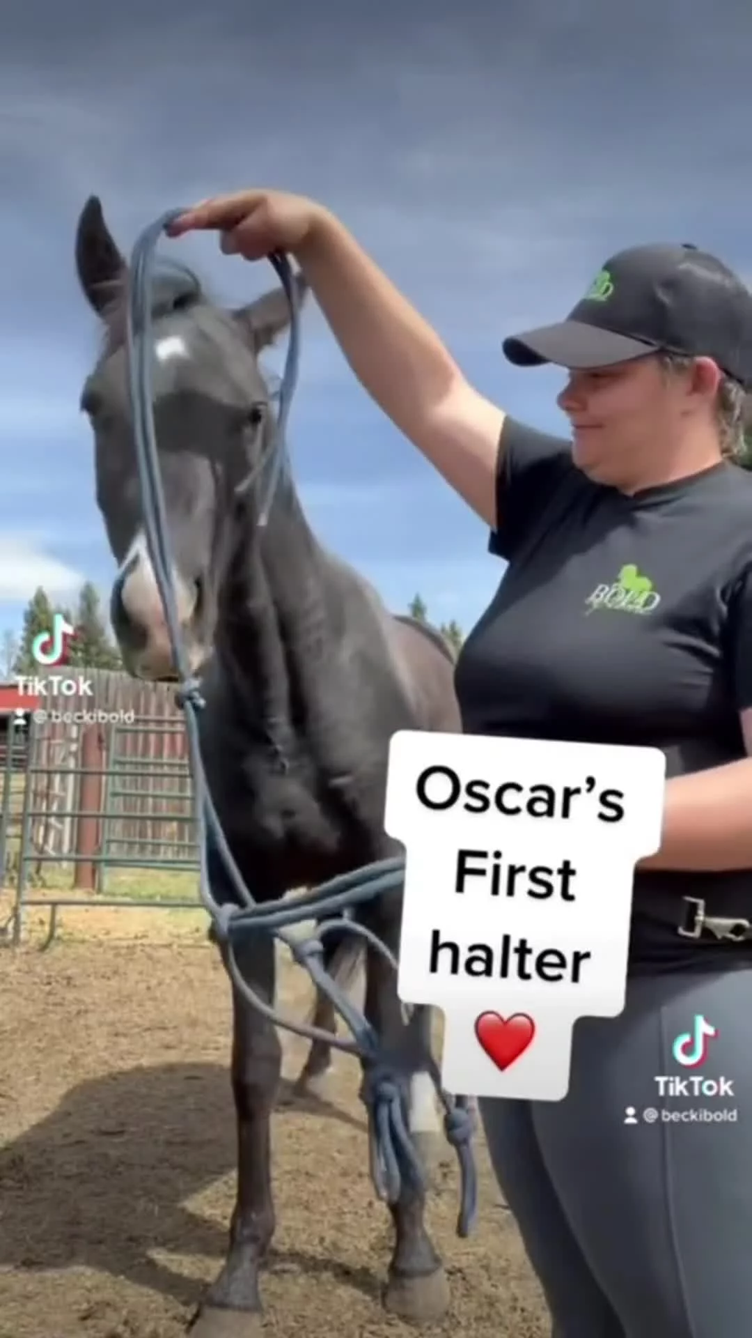 The Absence of Mistrust