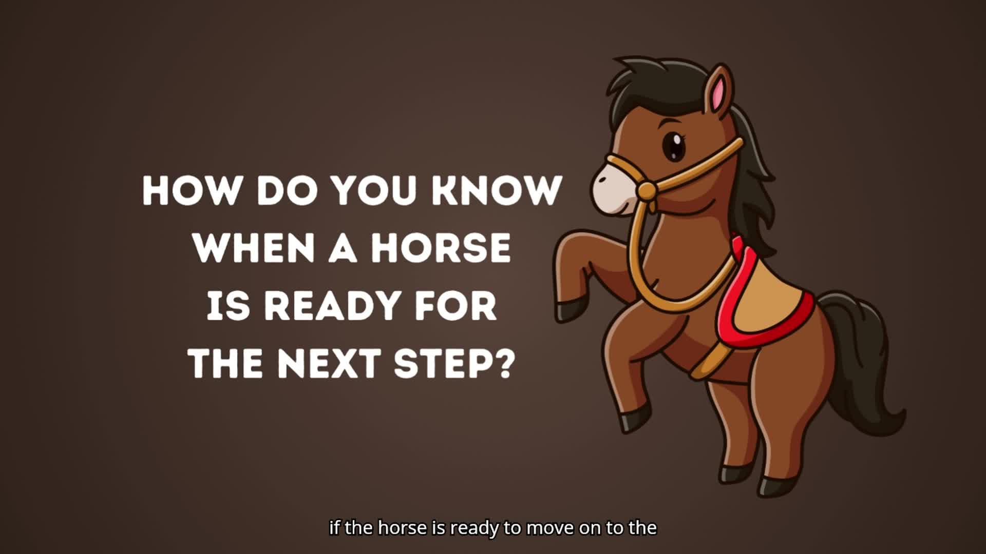 The 4 C's - Evaluating Your Horse's Development