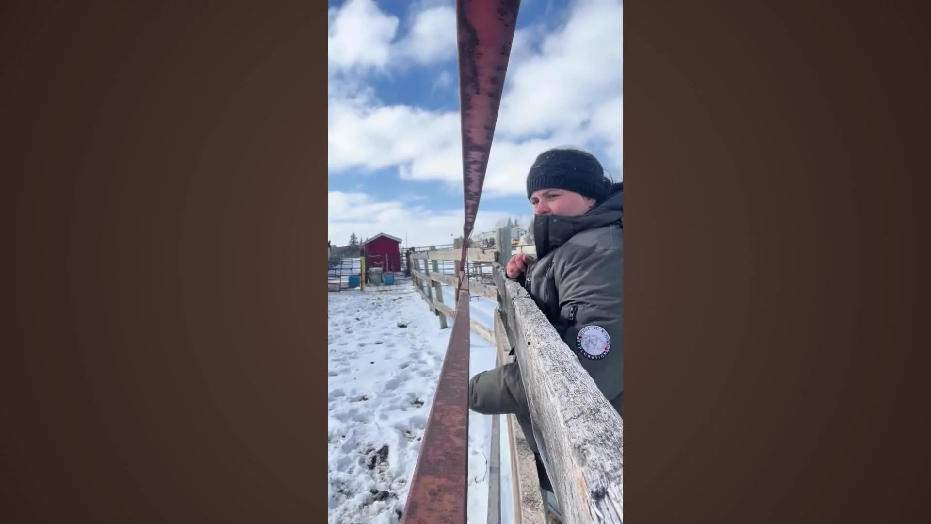 Willow Part 2: Solving Aggression