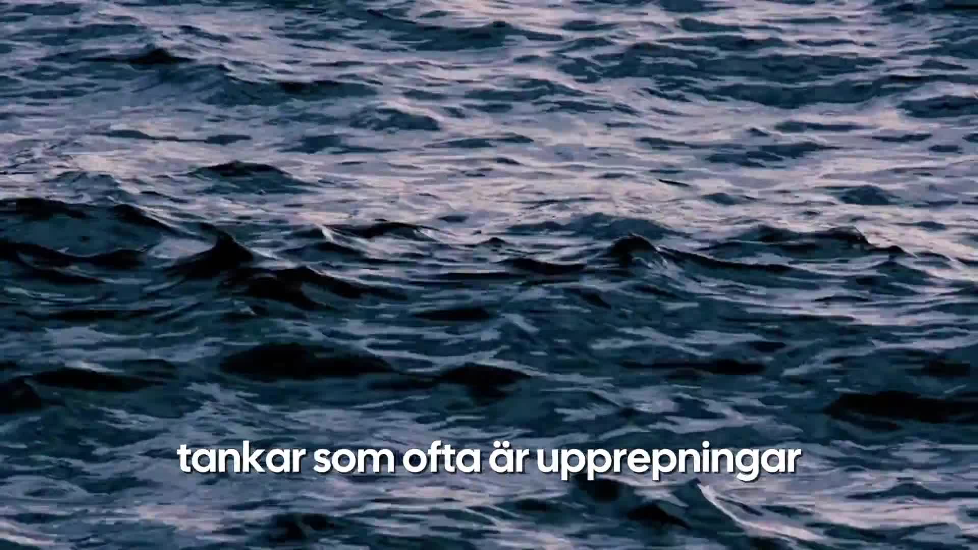 Malins tankar om: Hjärtats energi och koherens