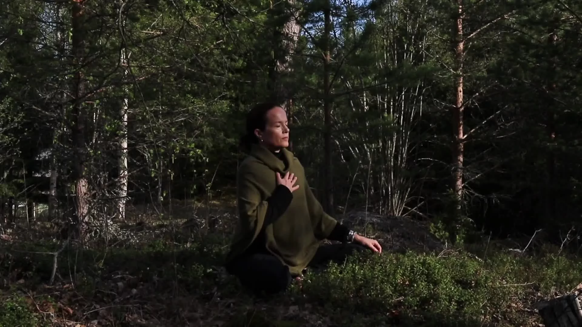 SKogsmeditation Live