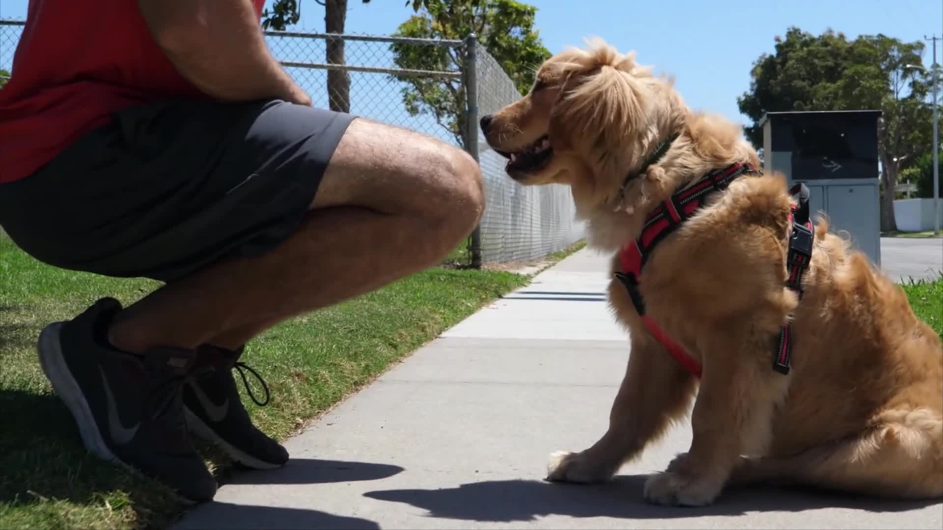 Related Video Item Thumbnail