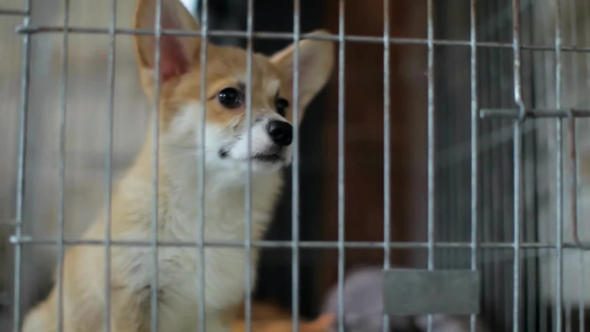 Related Video Item Thumbnail