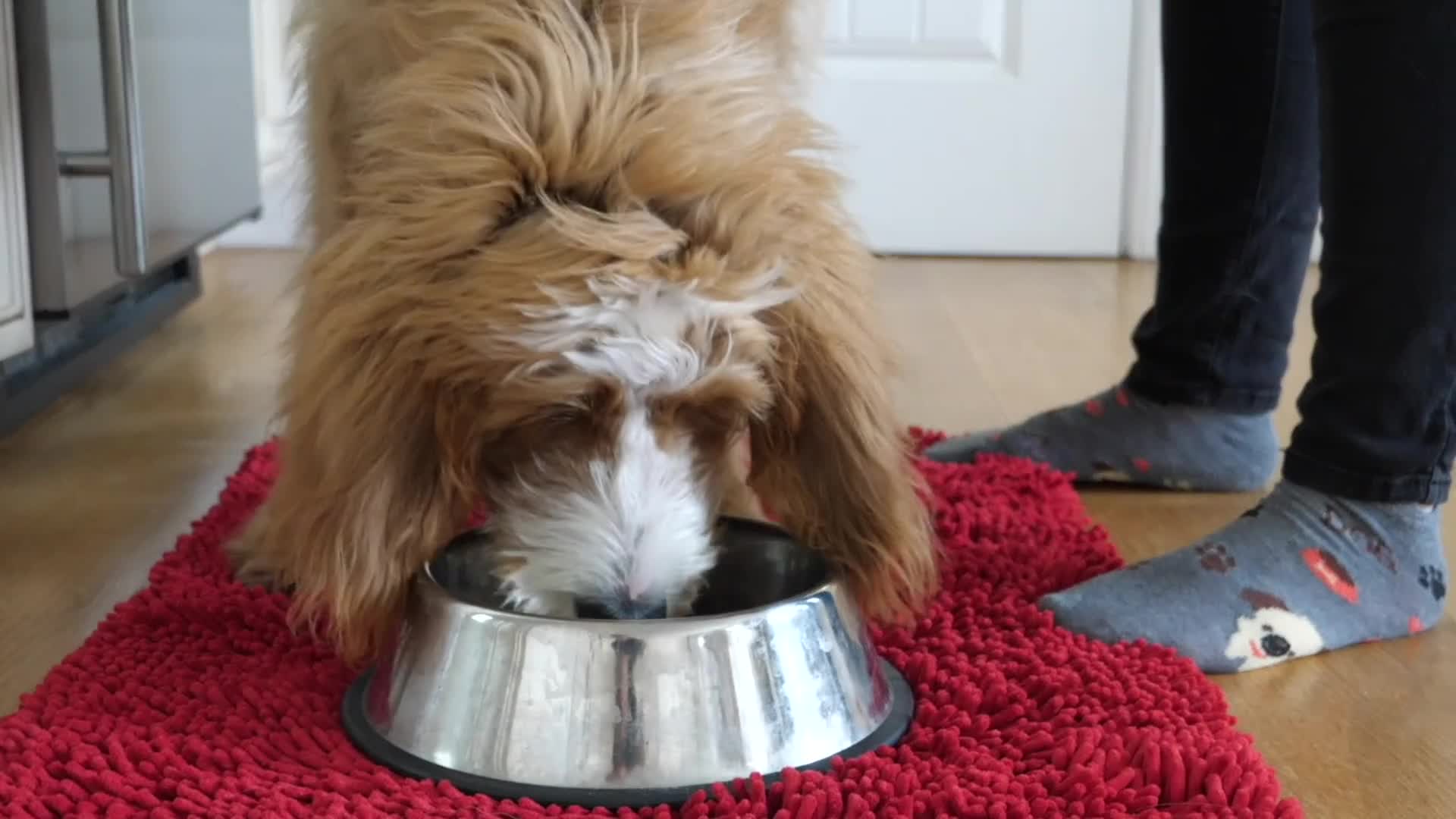 Related Video Item Thumbnail