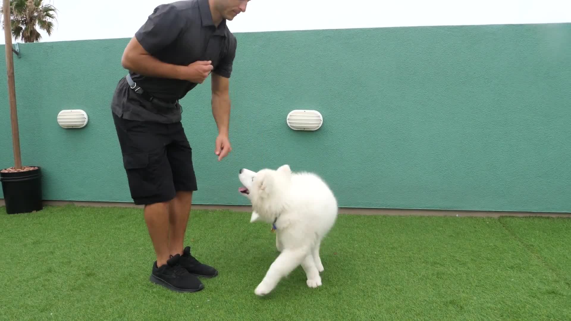 Related Video Item Thumbnail