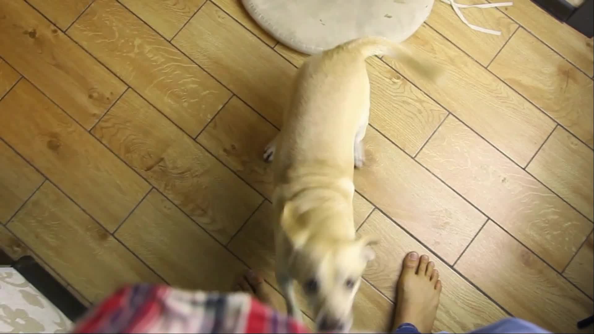 Related Video Item Thumbnail