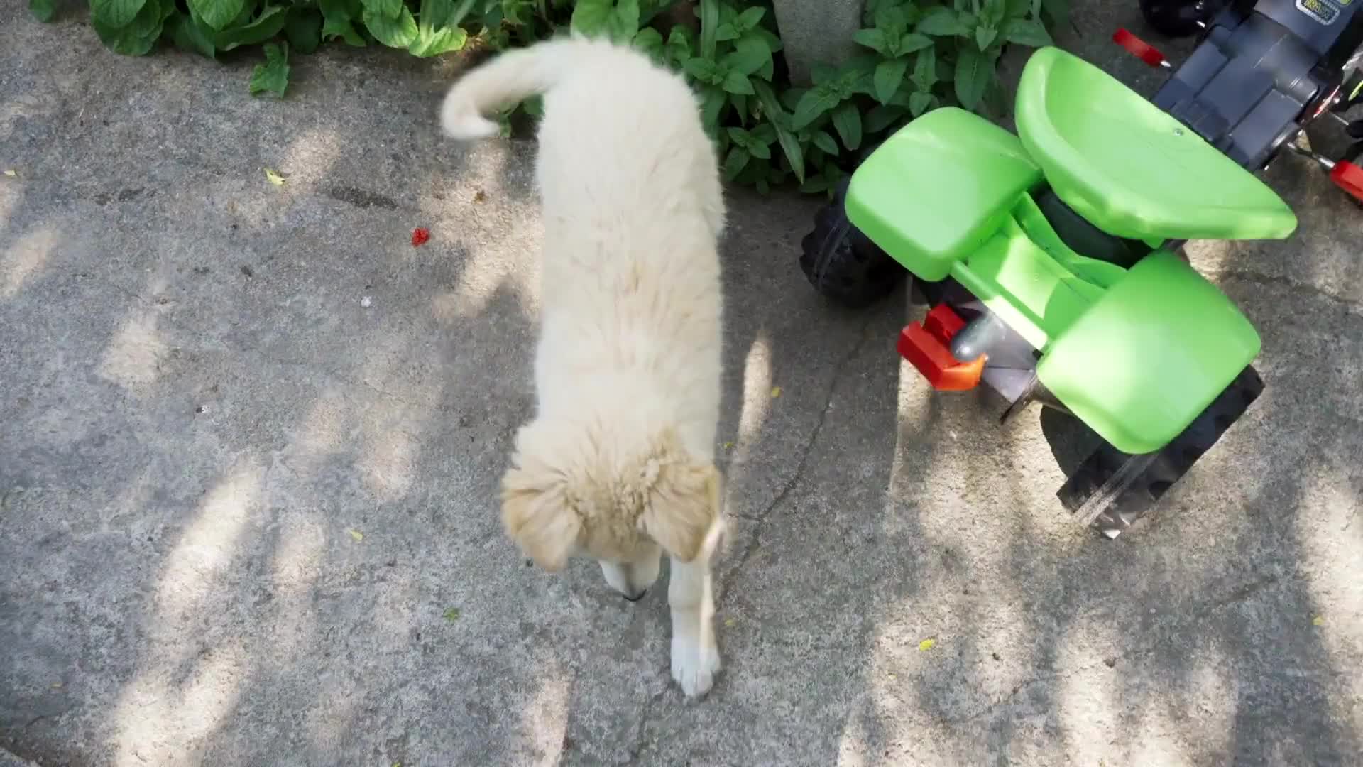 Related Video Item Thumbnail