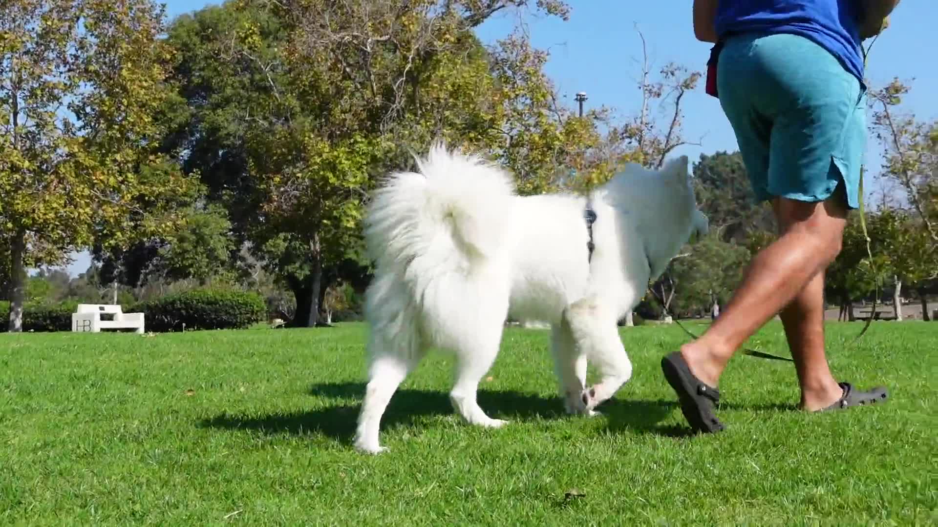 Related Video Item Thumbnail