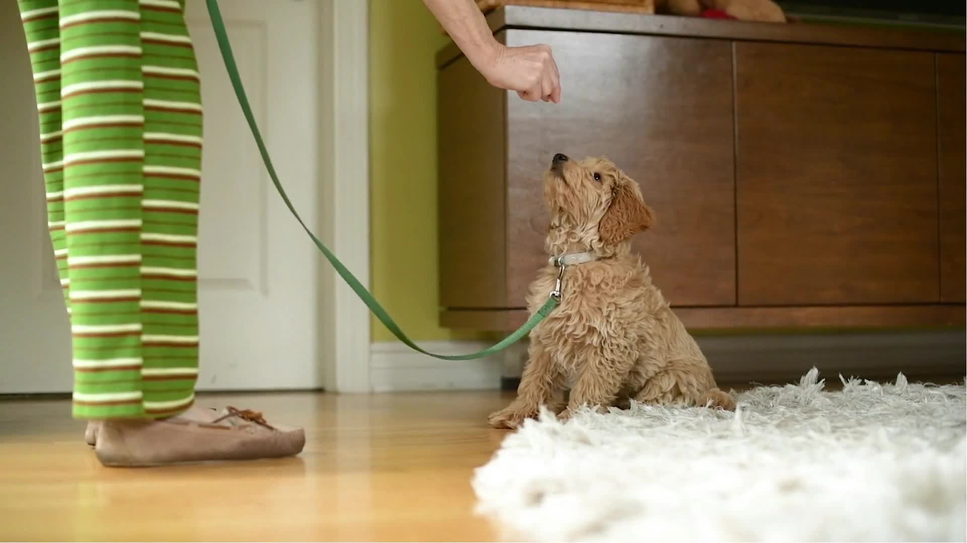 Related Video Item Thumbnail