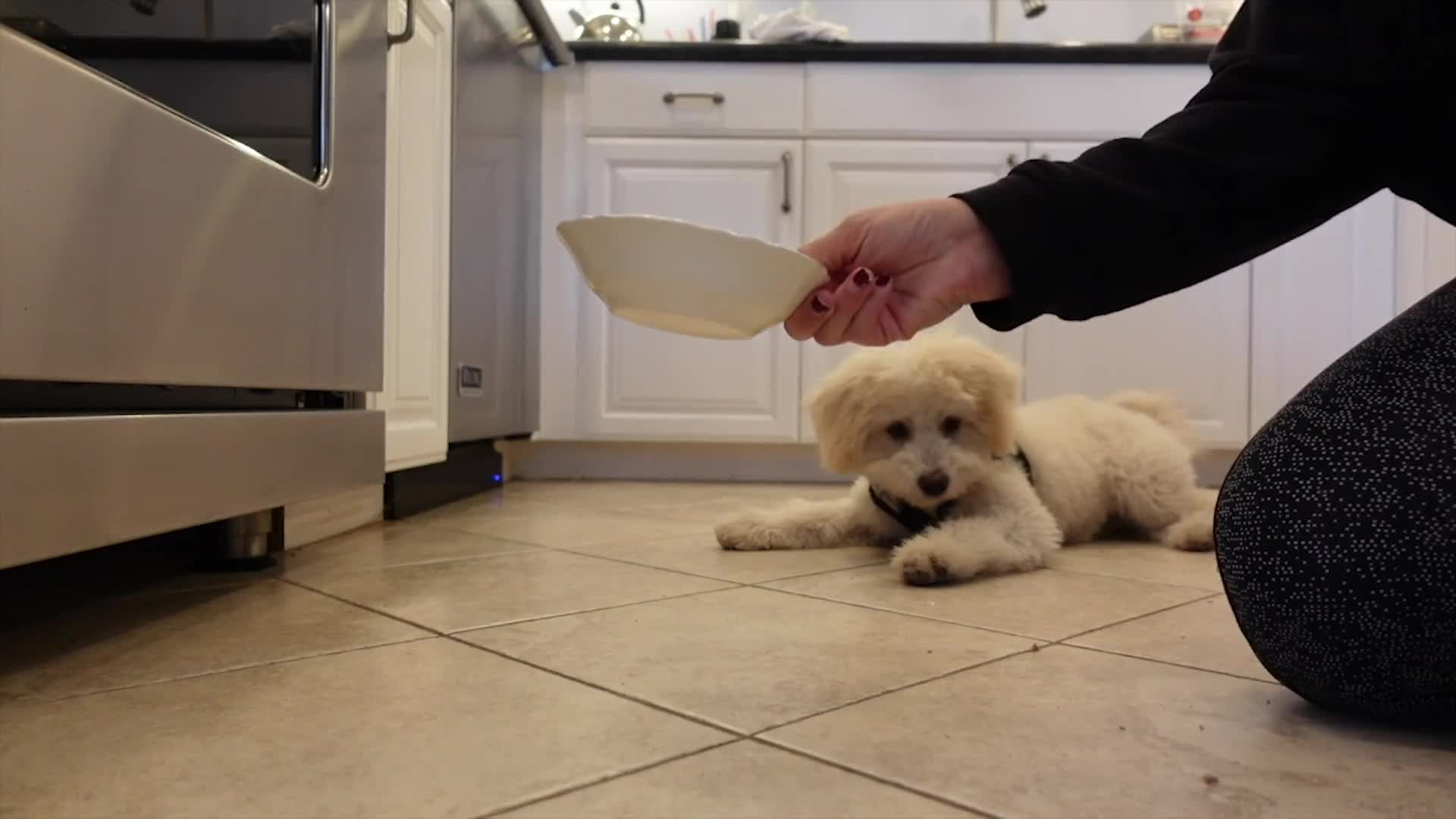 Related Video Item Thumbnail