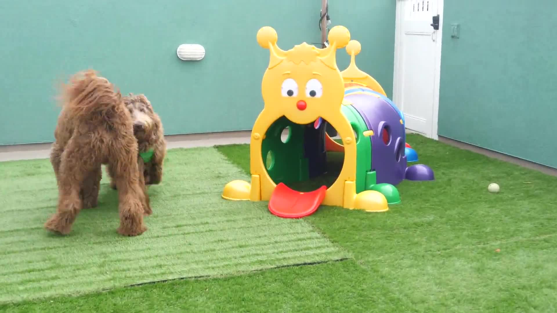 Related Video Item Thumbnail