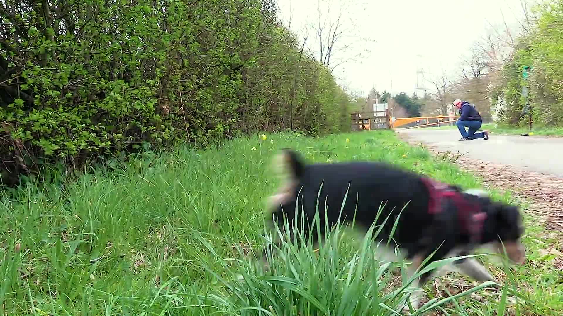 Related Video Item Thumbnail