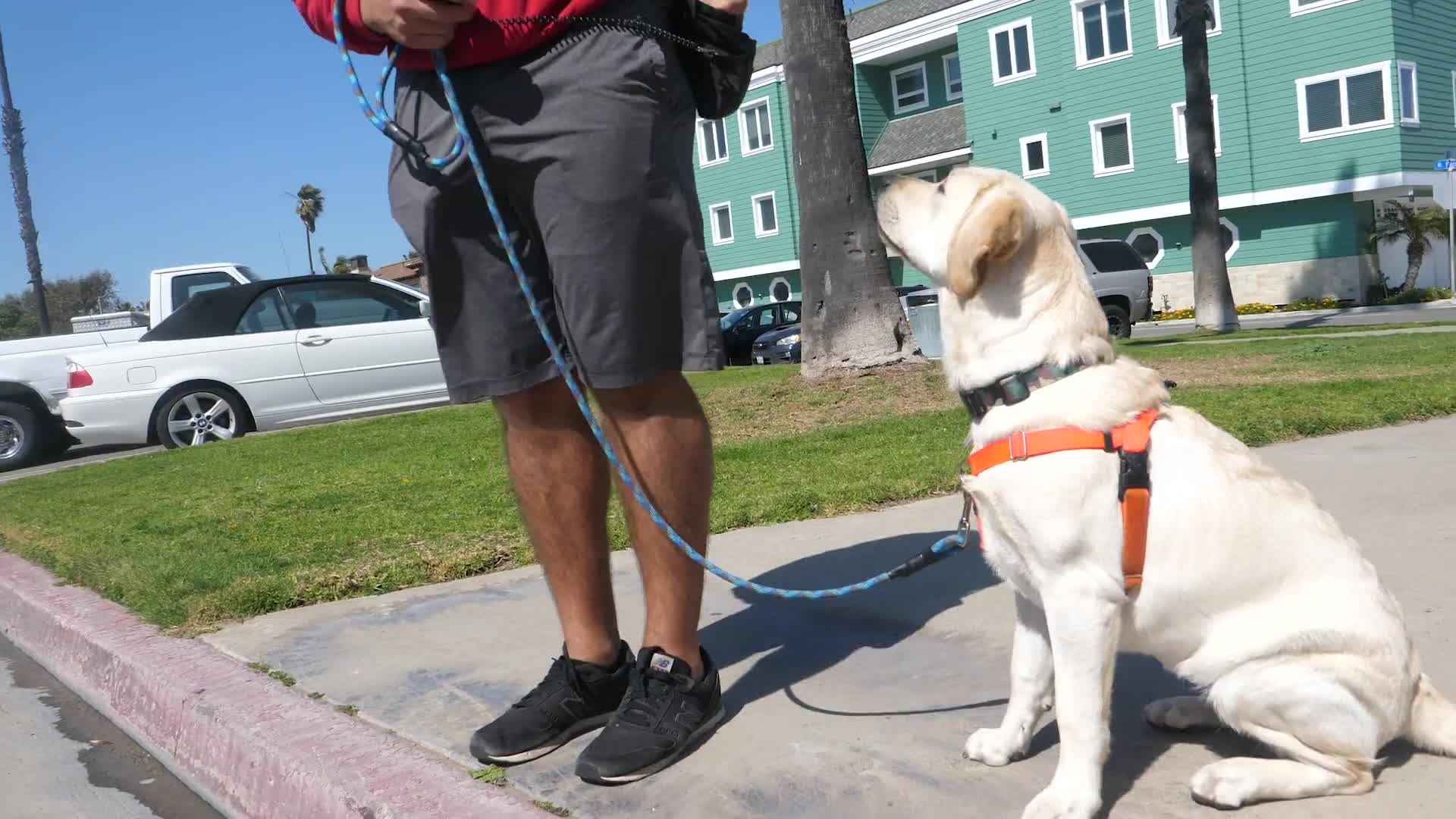Related Video Item Thumbnail