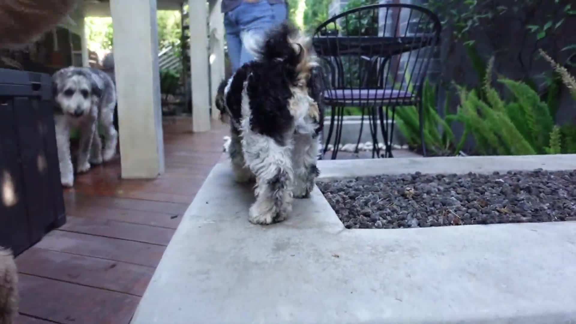 Related Video Item Thumbnail