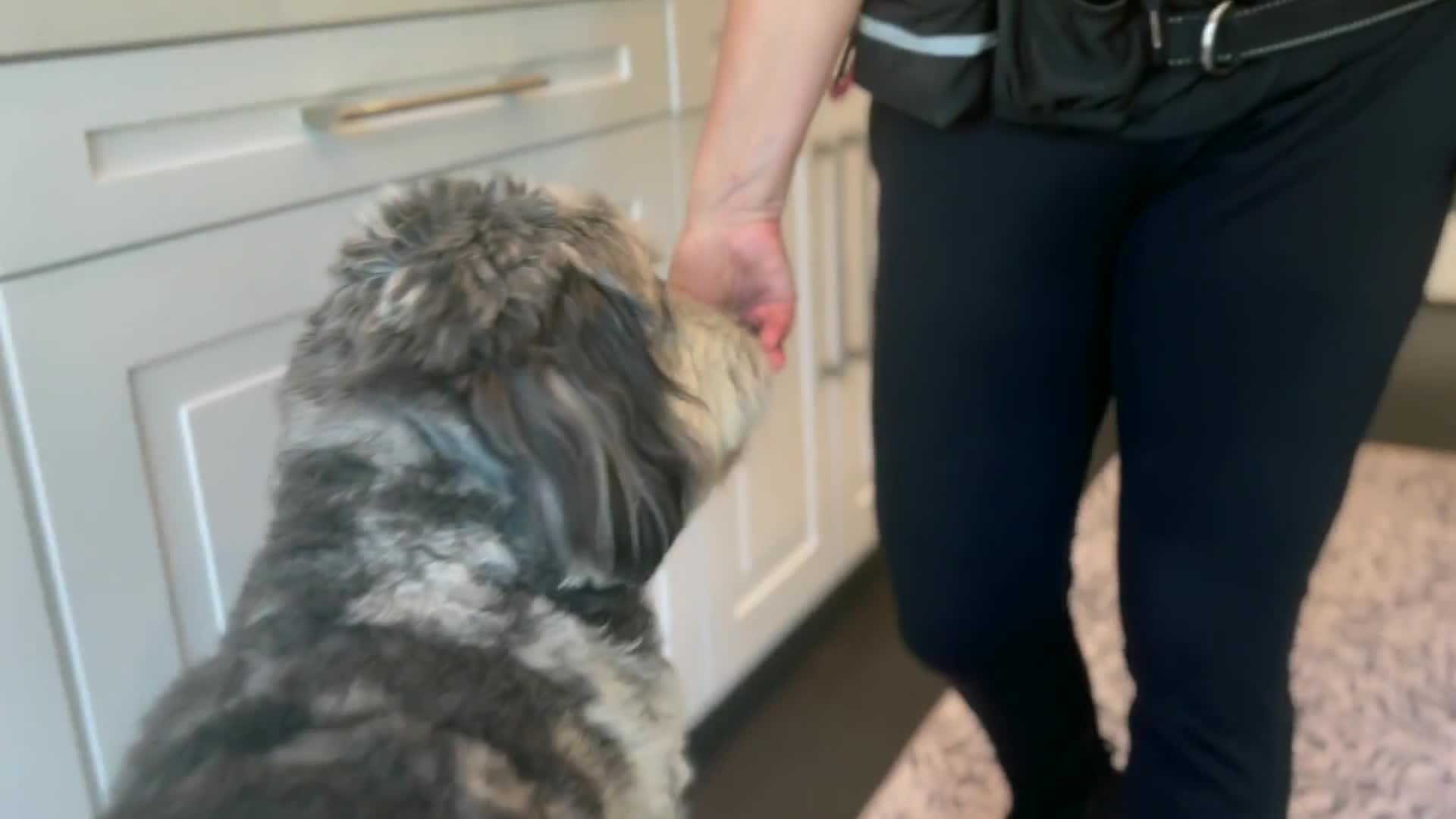 Related Video Item Thumbnail