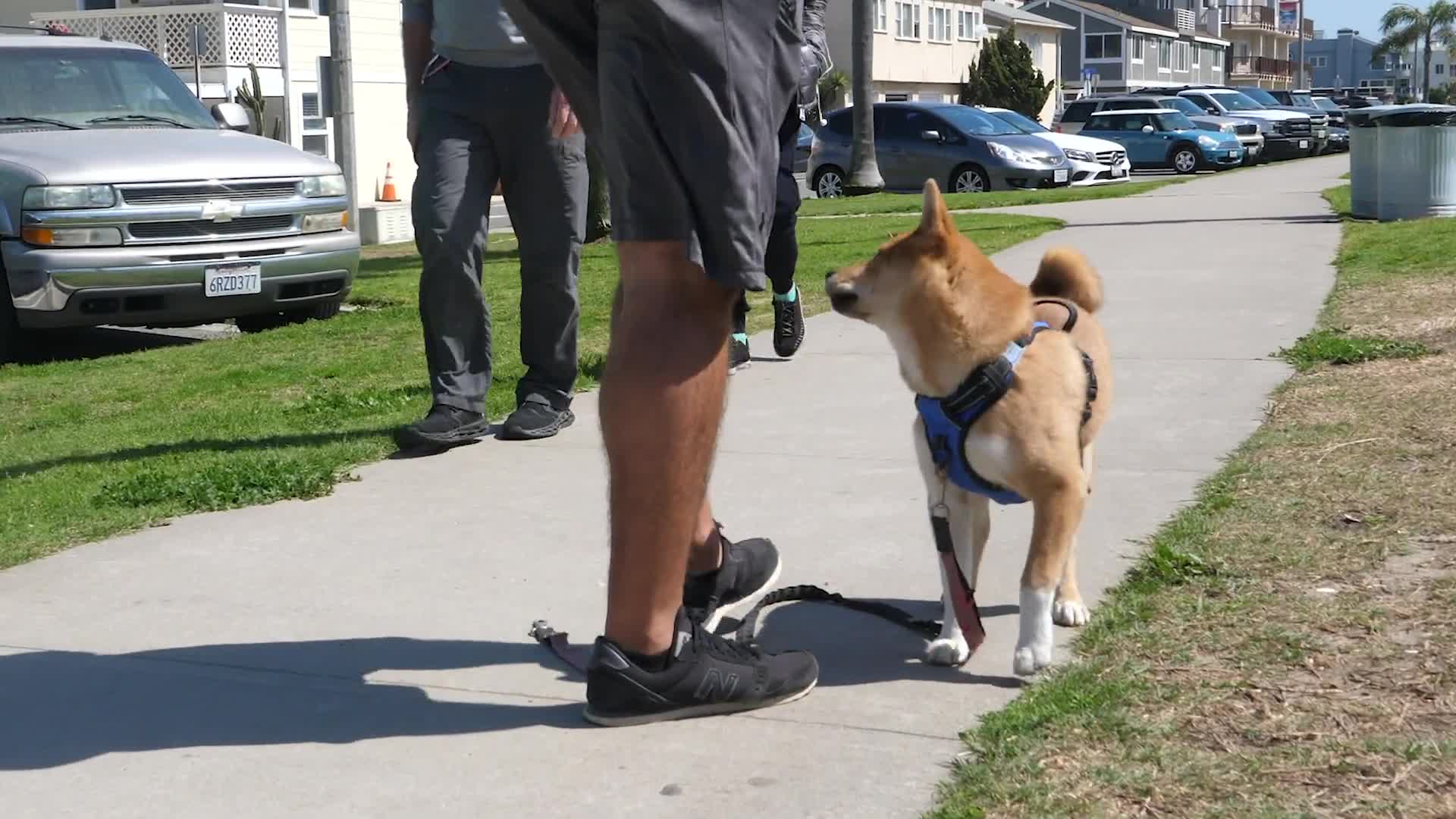 Related Video Item Thumbnail
