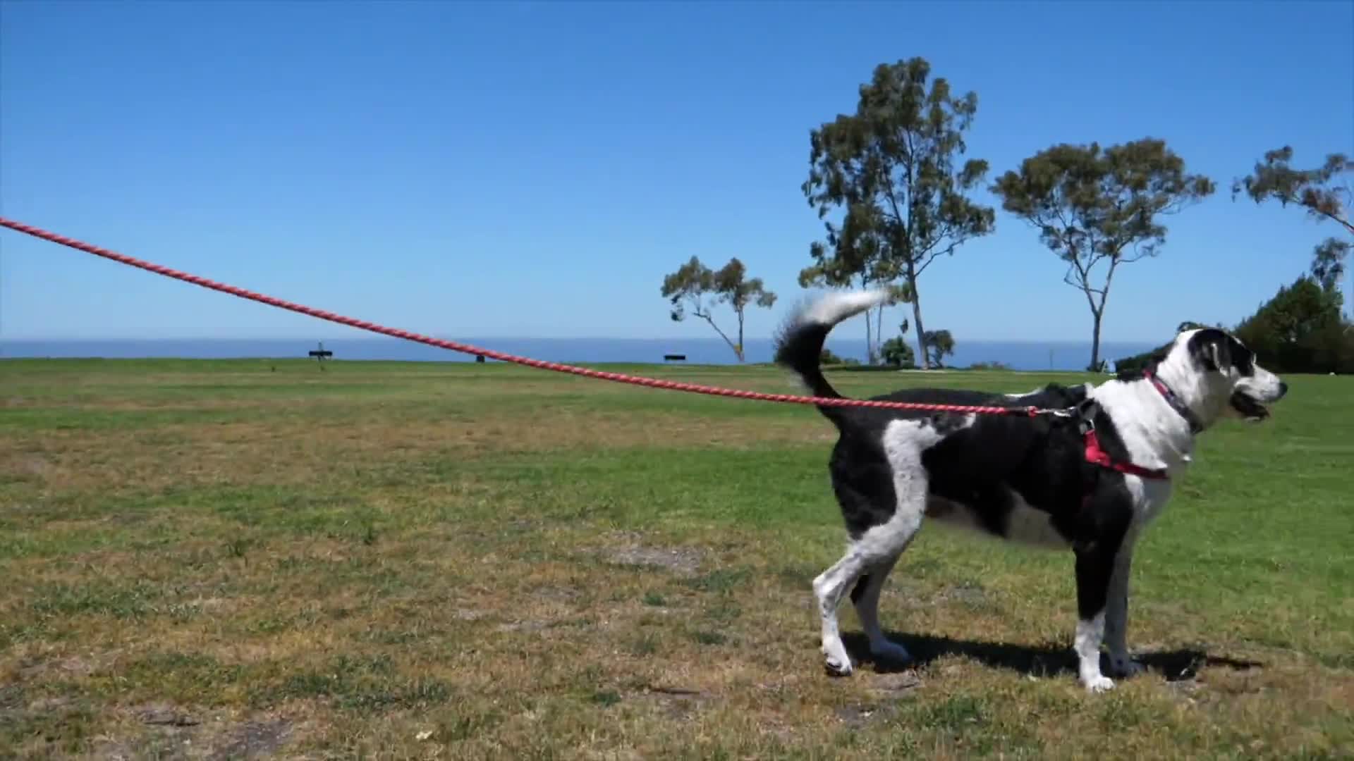 Related Video Item Thumbnail