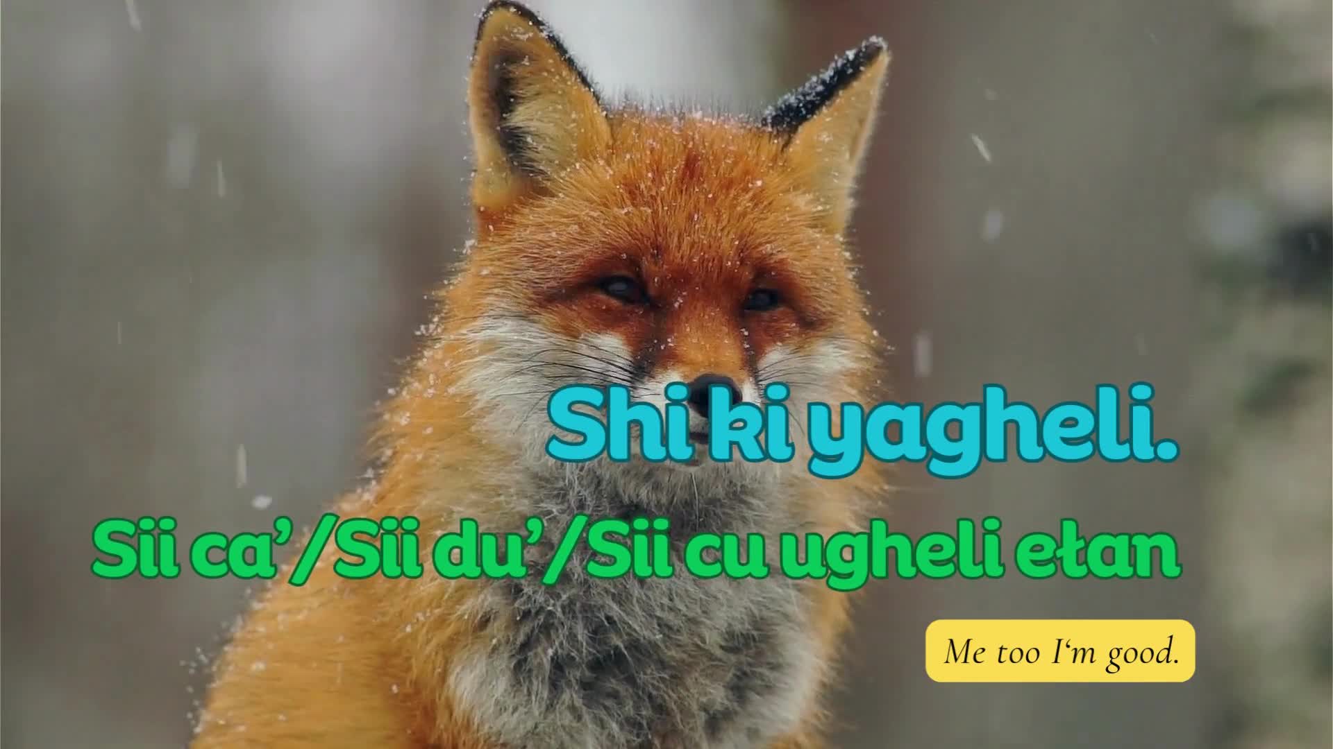Related Video Item Thumbnail