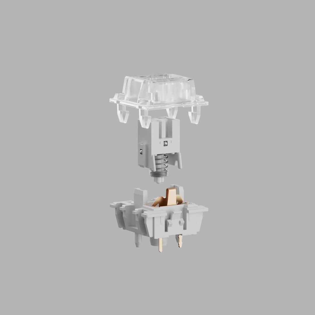 X-Ray Collection — mod musings