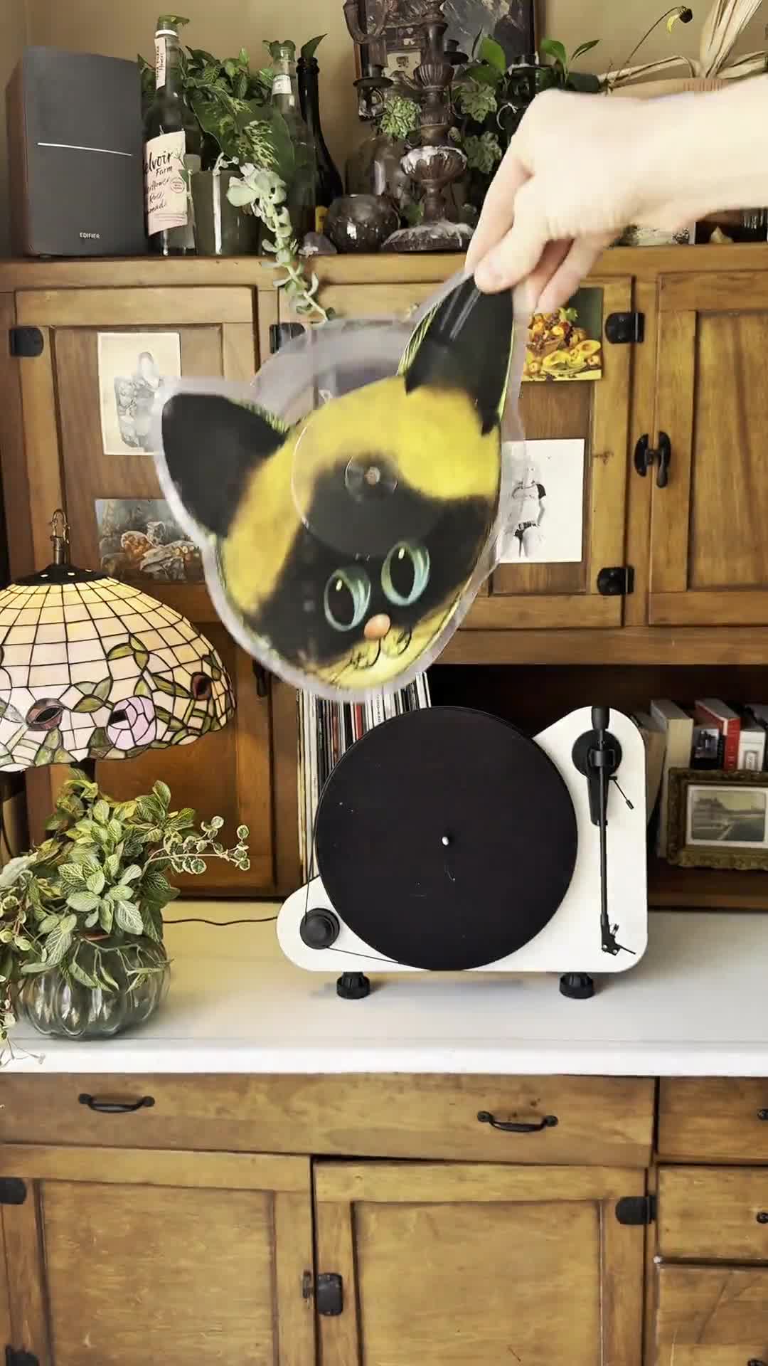 VV Exclusive: Par 5 / Lo Fi- Kitty Craft Cat Shaped Picture Disc