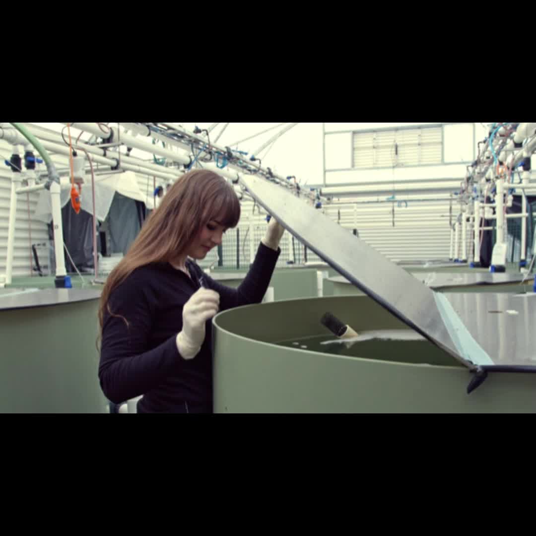 Related Video Item Thumbnail