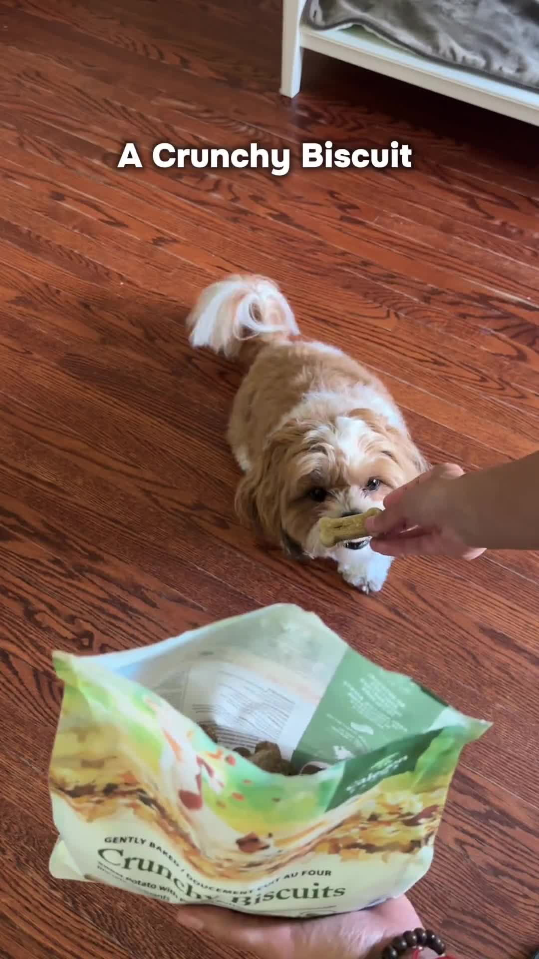 Related Video Item Thumbnail