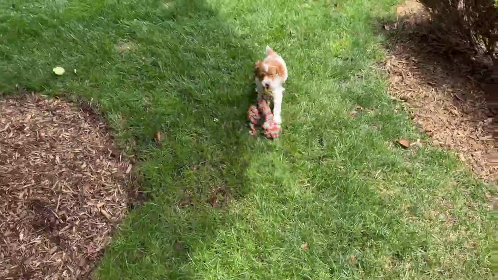 Related Video Item Thumbnail