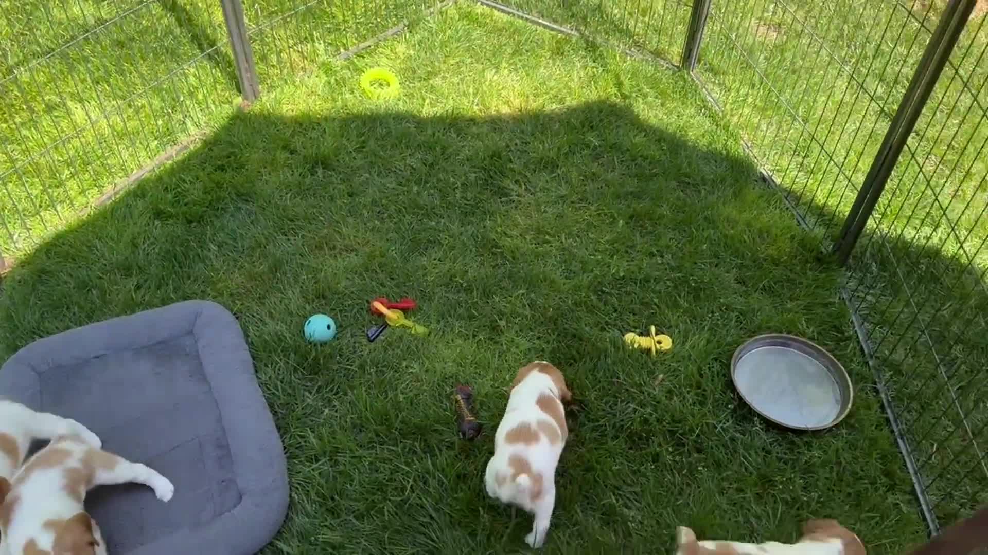Related Video Item Thumbnail