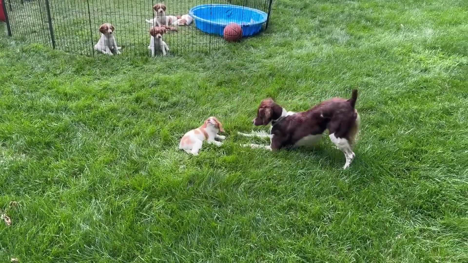 Related Video Item Thumbnail