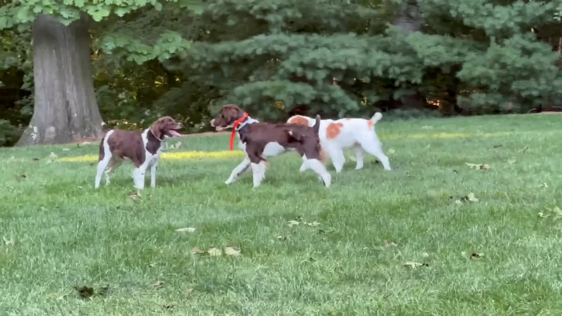Related Video Item Thumbnail