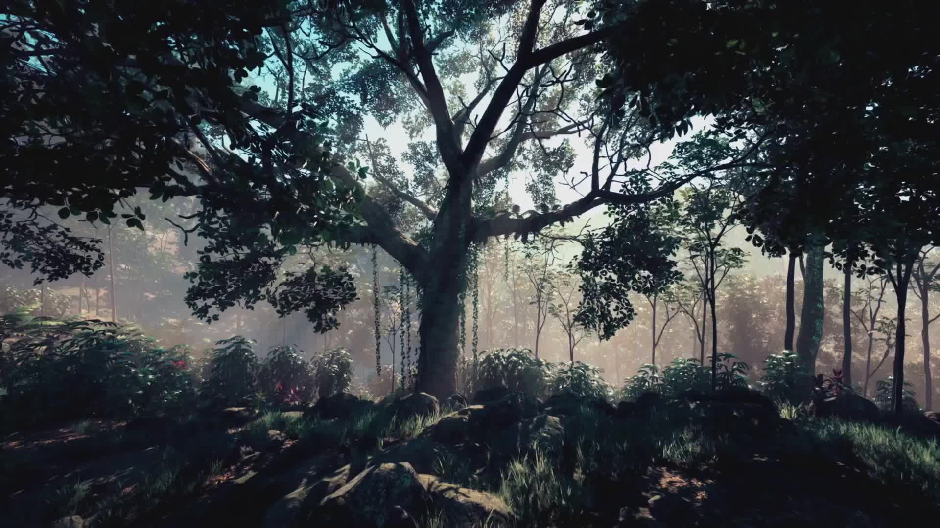 Related Video Item Thumbnail