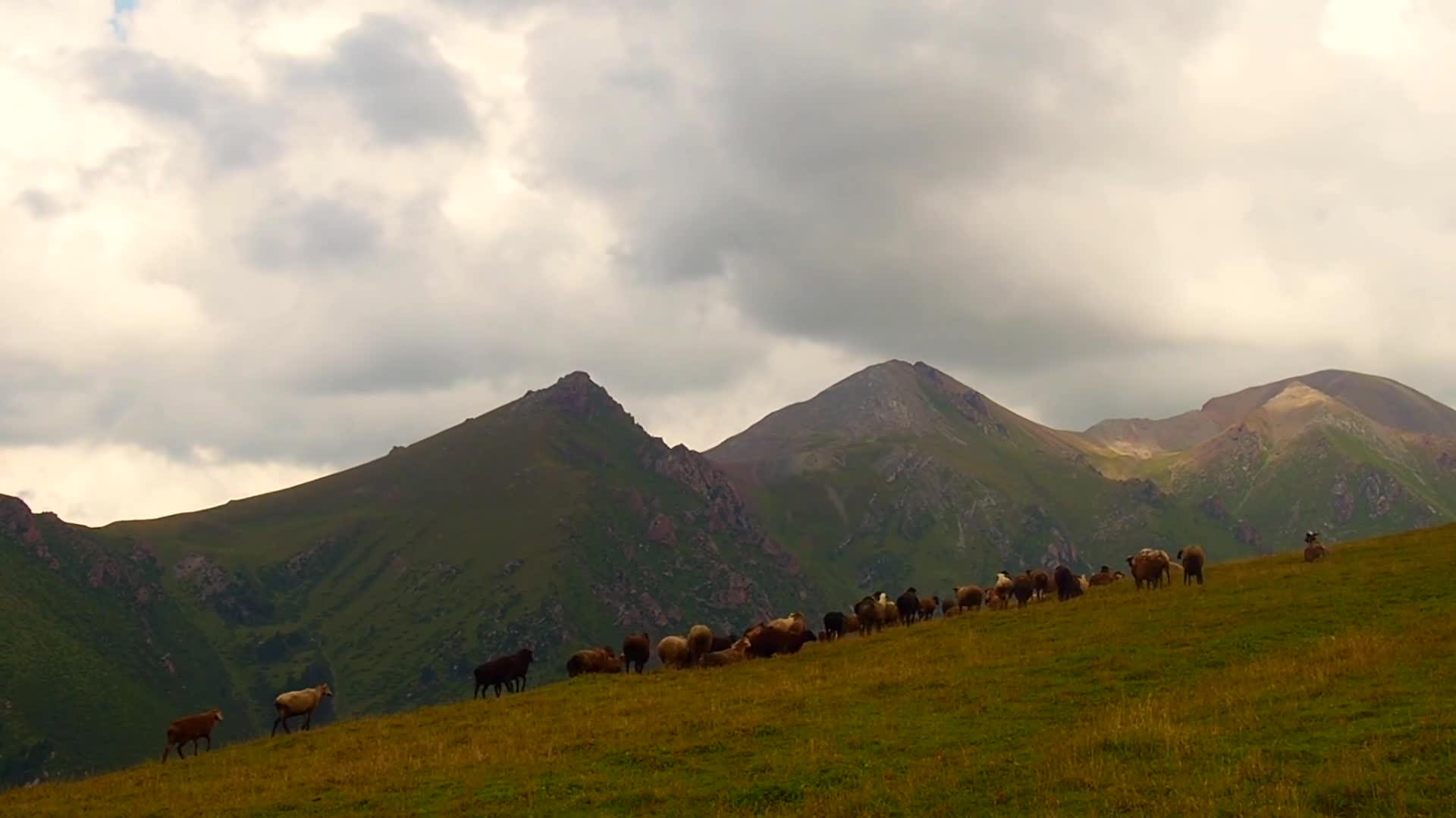 Related Video Item Thumbnail