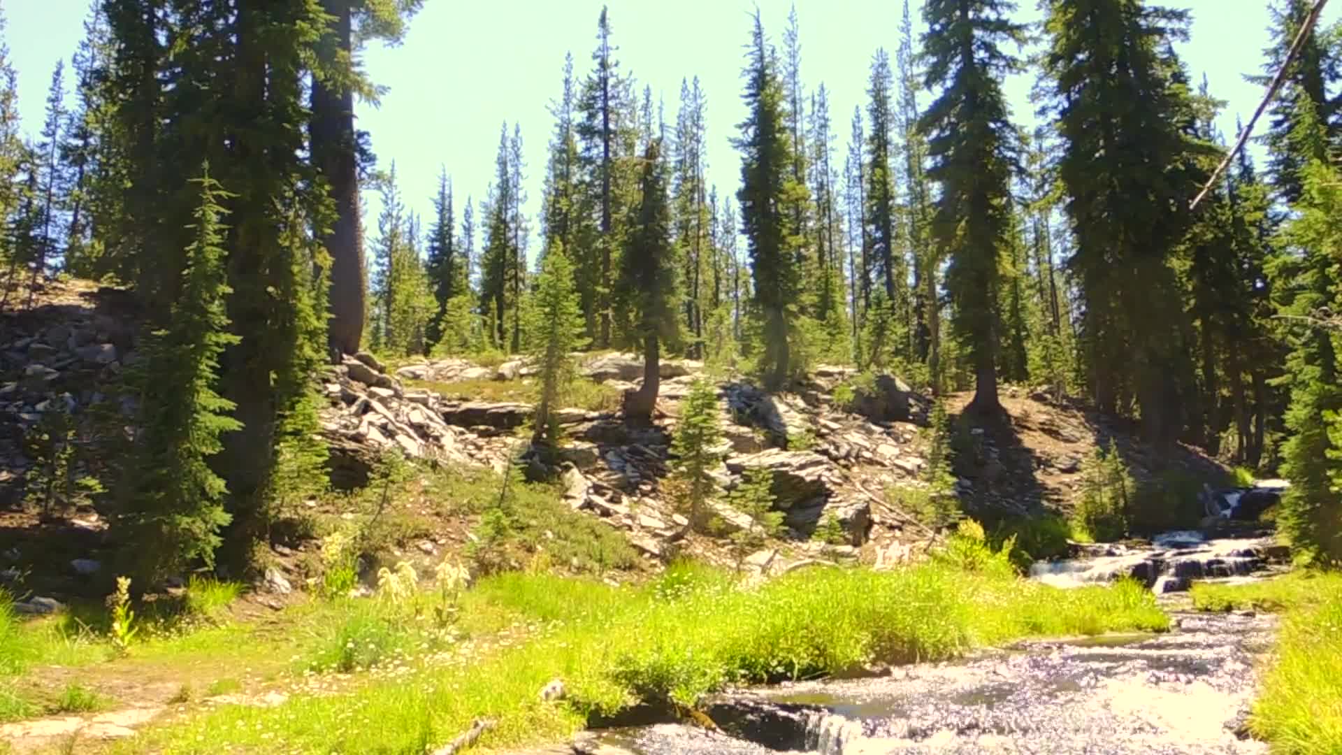 Related Video Item Thumbnail