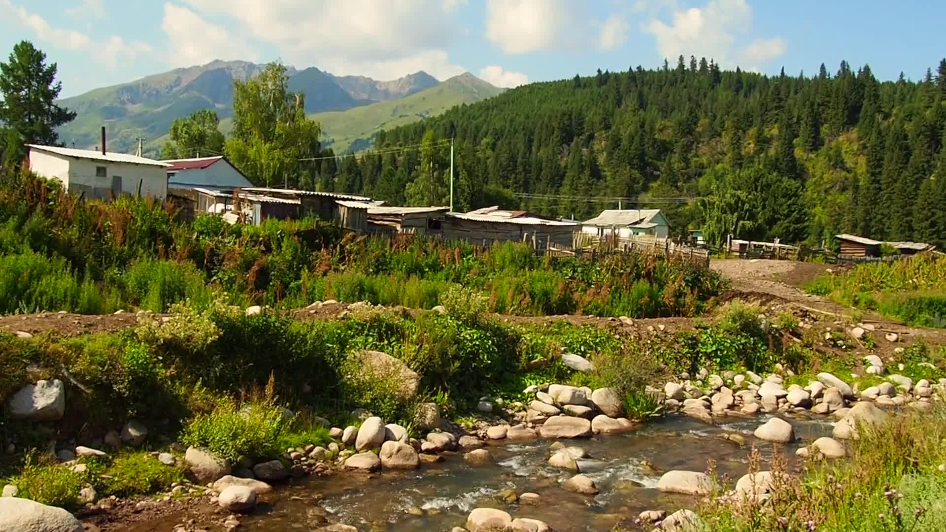 Related Video Item Thumbnail