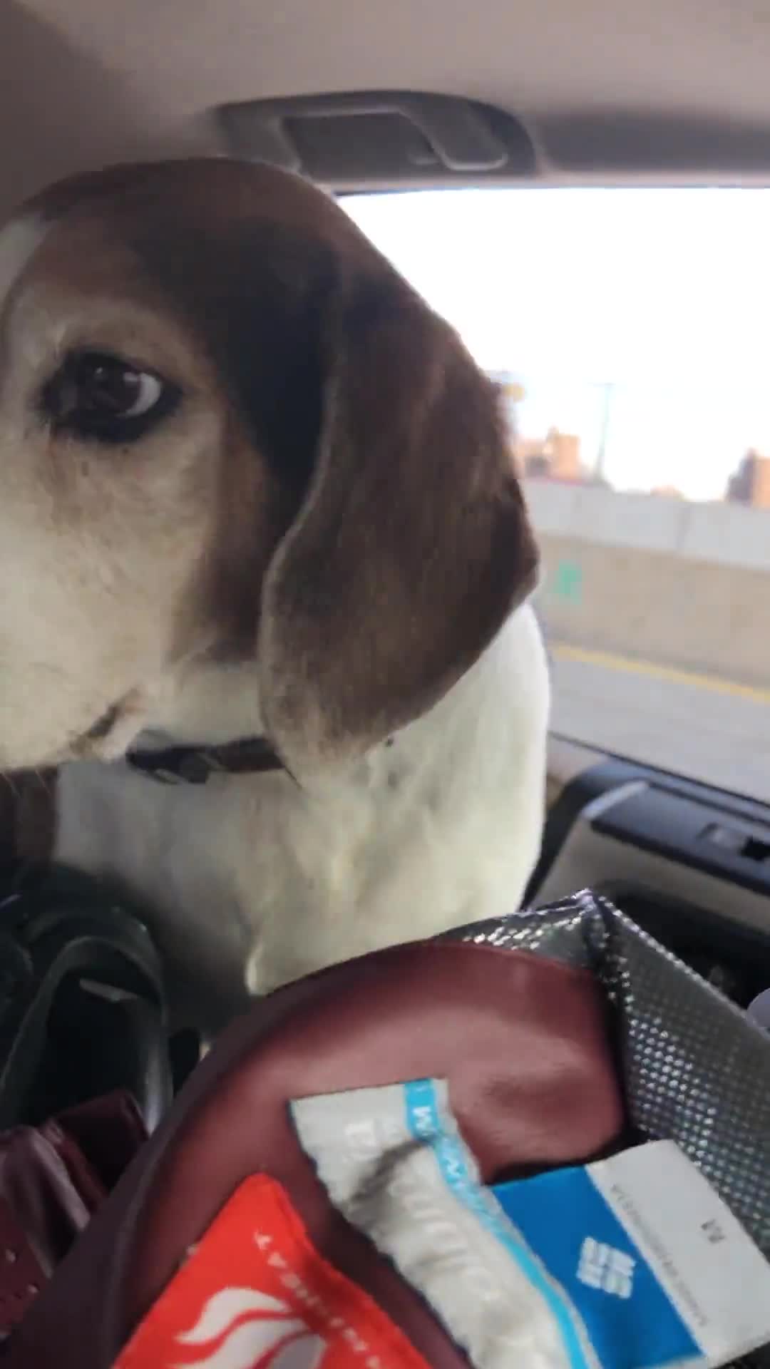 Related Video Item Thumbnail