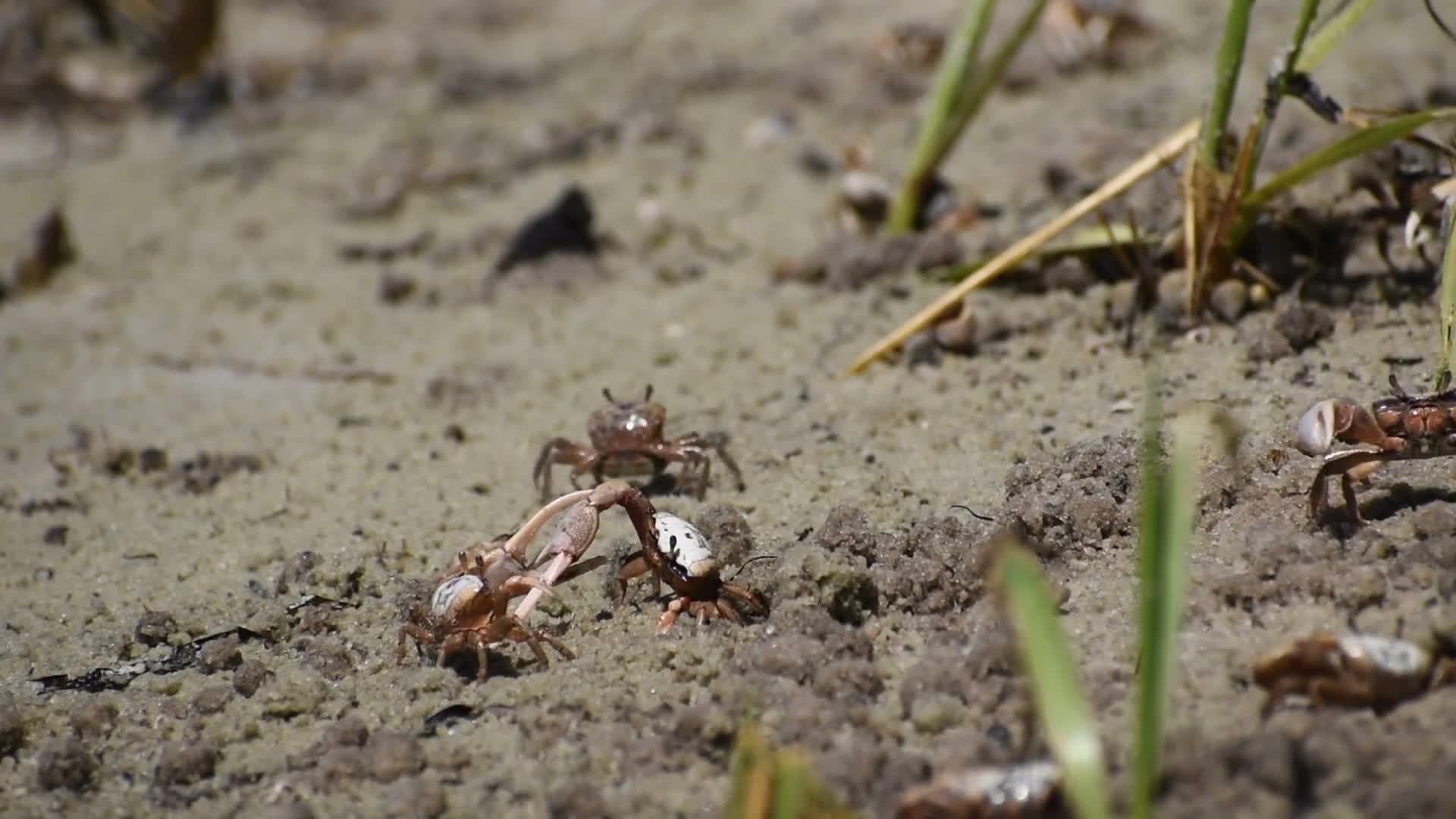 Related Video Item Thumbnail