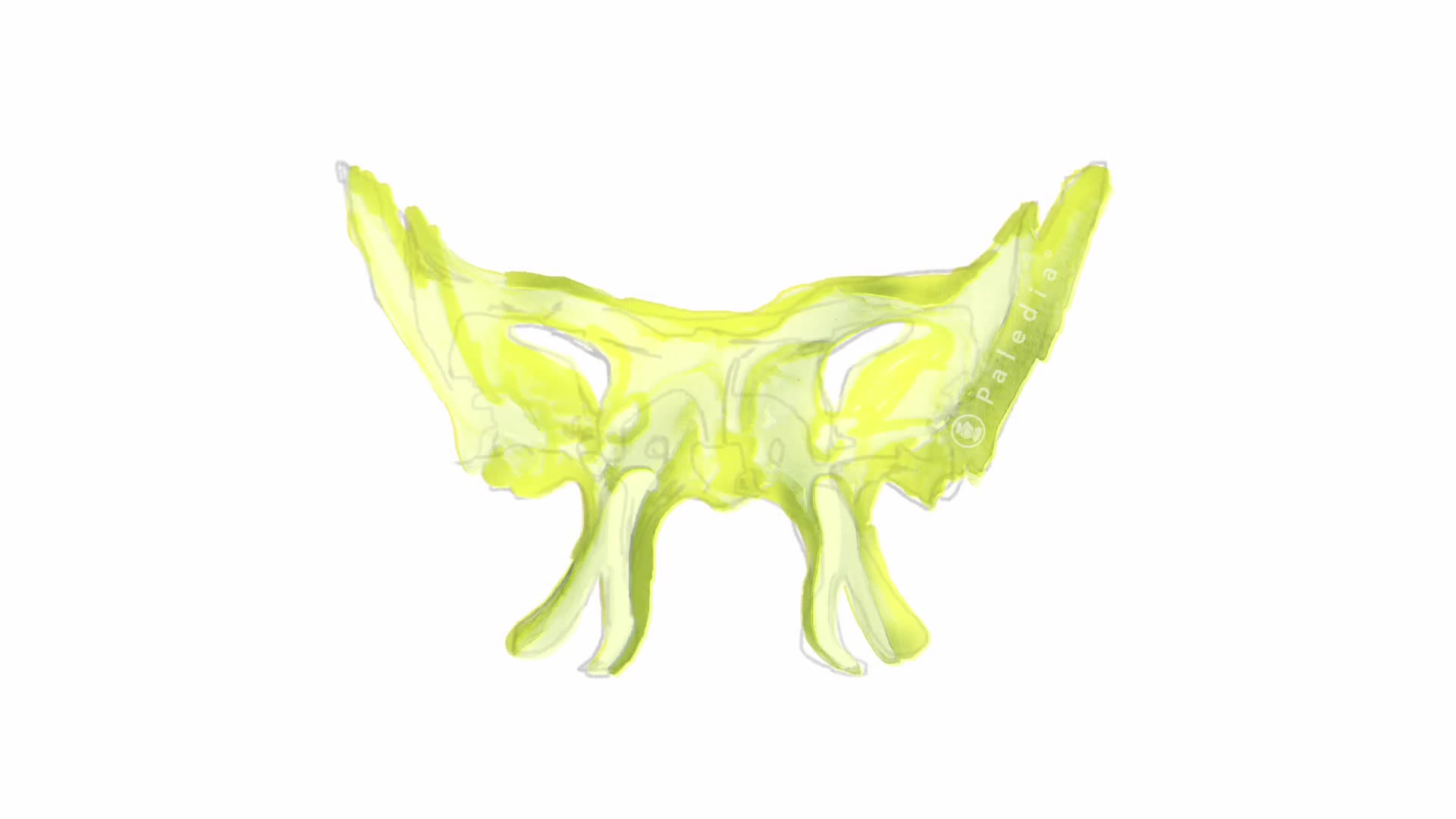 17 Übung — Das Keilbein in Bewegung