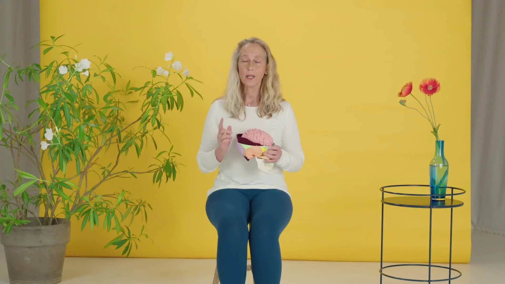 16 Übung — Der hintere Kopflevator – Kleinhirn